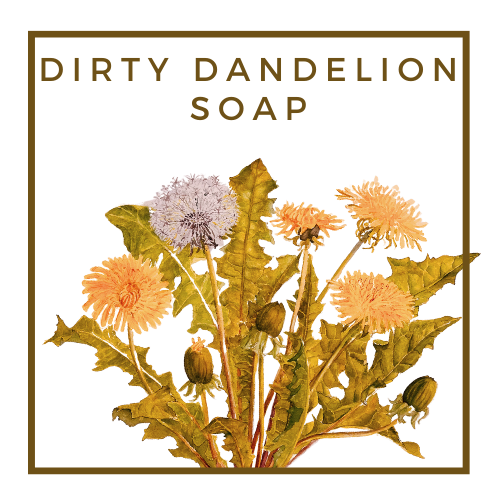 Dirty Dandelion Soap