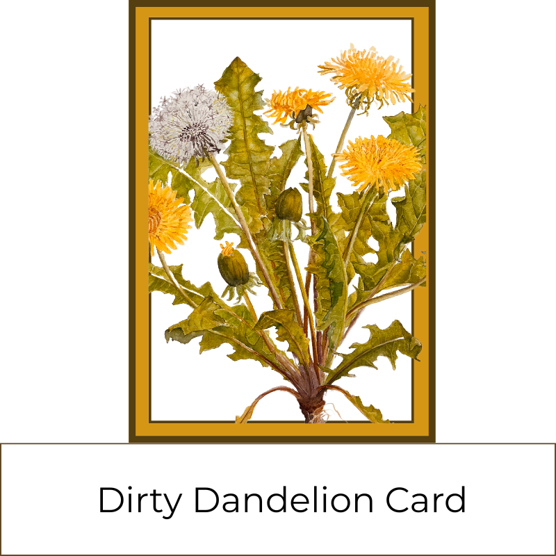 3-Soap Mix and Match Gift Box with Bonus Owl Soap, Card, & Hardwood Soap Dish ($40 value)