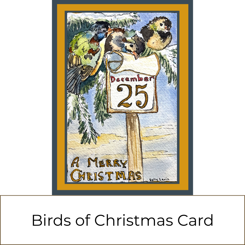 3-Soap Holiday Gift Box 'Snowdrift Soap Set' with Lip Balm, Card, & Hardwood Soap Dish ($40 value)