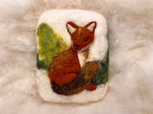 Foamy Fox Wooly Washer