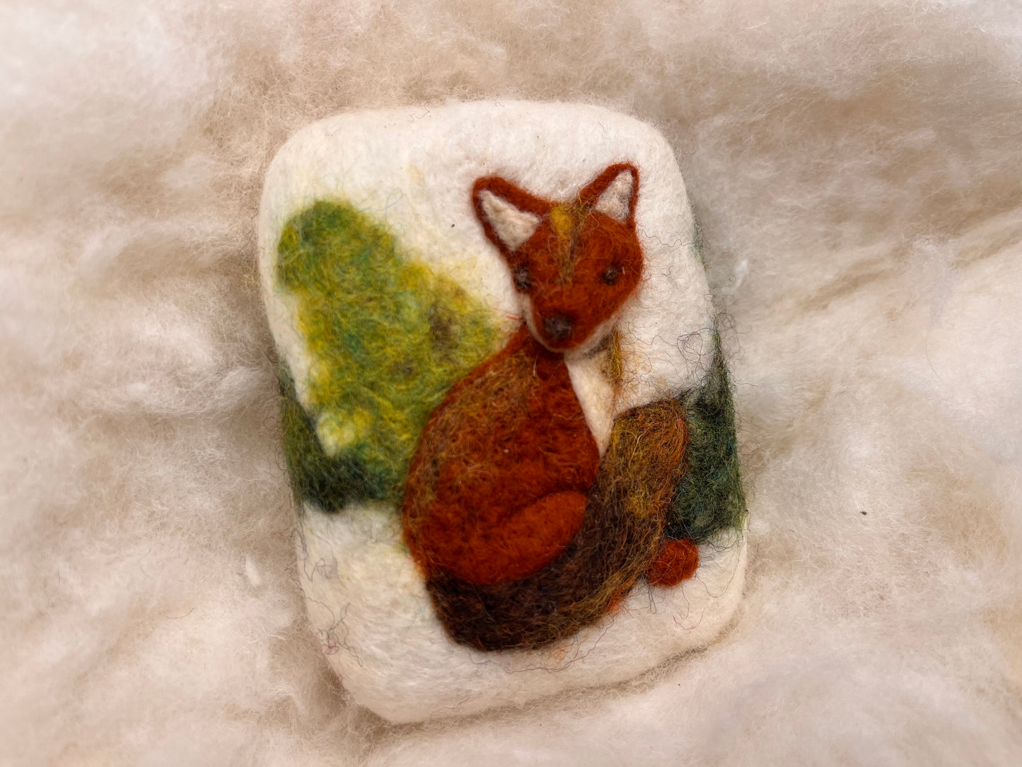 Foamy Fox Wooly Washer