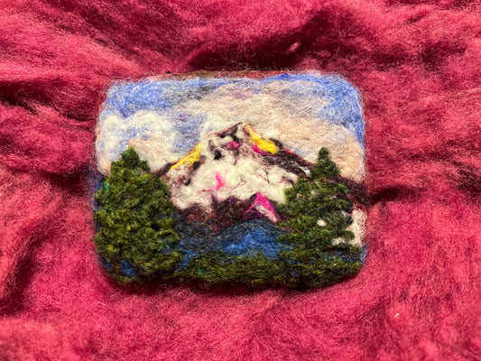 Summit and Suds (Mt Hood) Wooly Washer