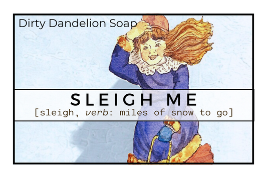 Sleigh Me