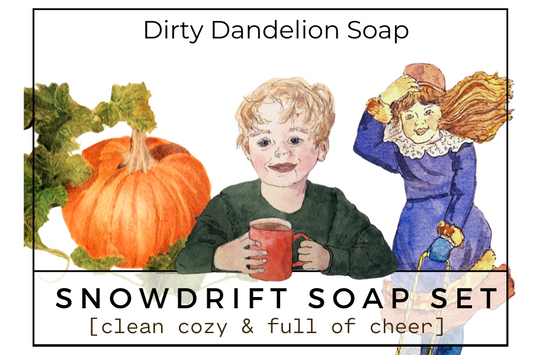 3-Soap Holiday Gift Box 'Snowdrift Soap Set' with Lip Balm, Card, & Hardwood Soap Dish ($40 value)