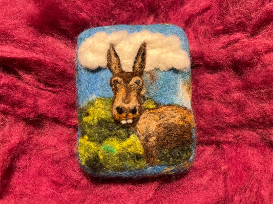 Silly Donkey Wooly Washer